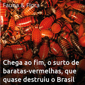 Chega ao fim, o surto de baratas vermelhas, que quase destruir o Brasil.